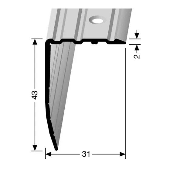Aluminium profielen - Trapneusprofiel-basis-XL-31x43mm-zilver-65374-2