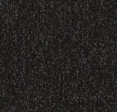 Onderhoud - Coral-Classic-4730-150-cm-raven-black