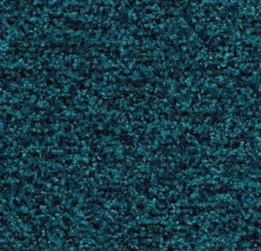 Gereedschap en toebehoren - Coral-Brush-5705-100-cm-bondi-blue