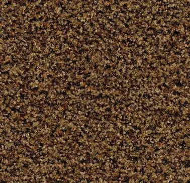 Gereedschap en toebehoren - Coral-Brush-5716-100-cm-masala-brown